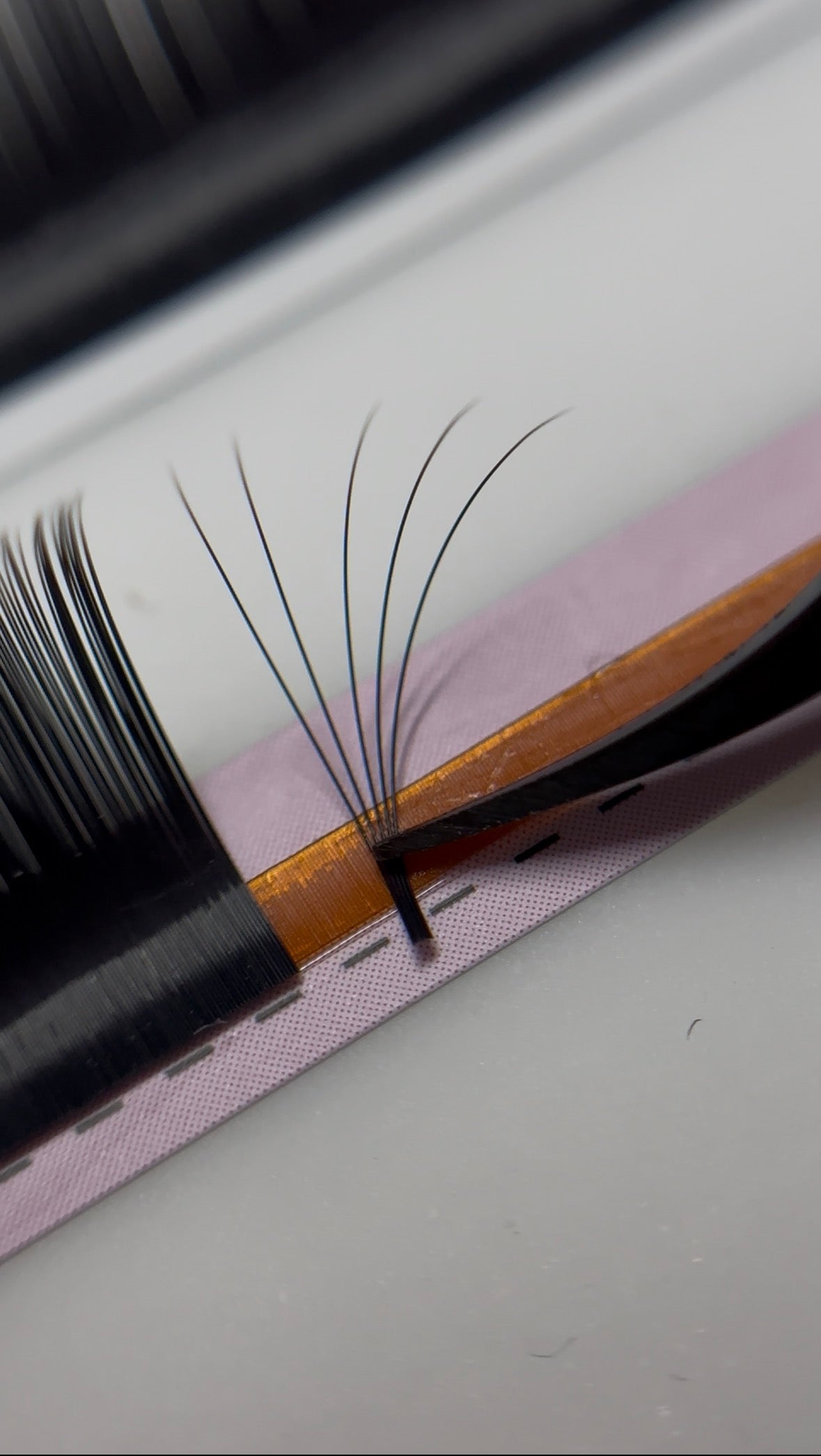 Silk Lashes