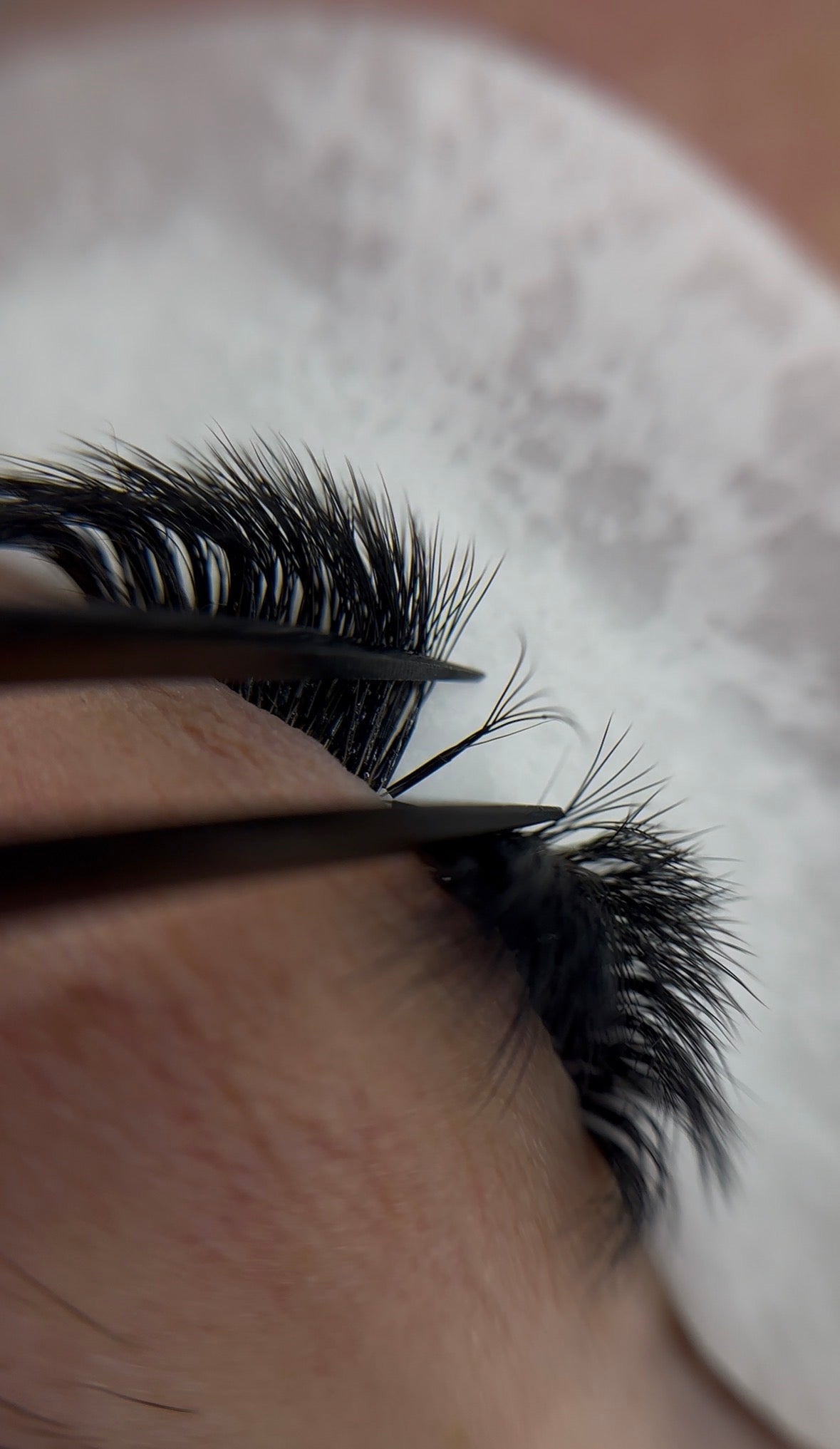 Speedlashes