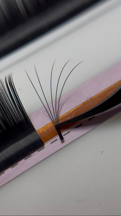 Silk Lashes